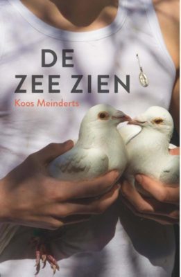 De zee zien | boekwijzer