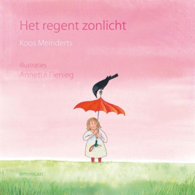 Het regent zonlicht | boekwijzer