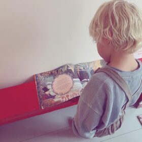 De notenkraker | boekwijzer