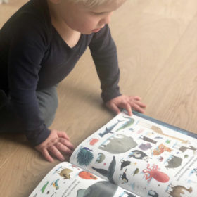 samen hier | boekwijzer