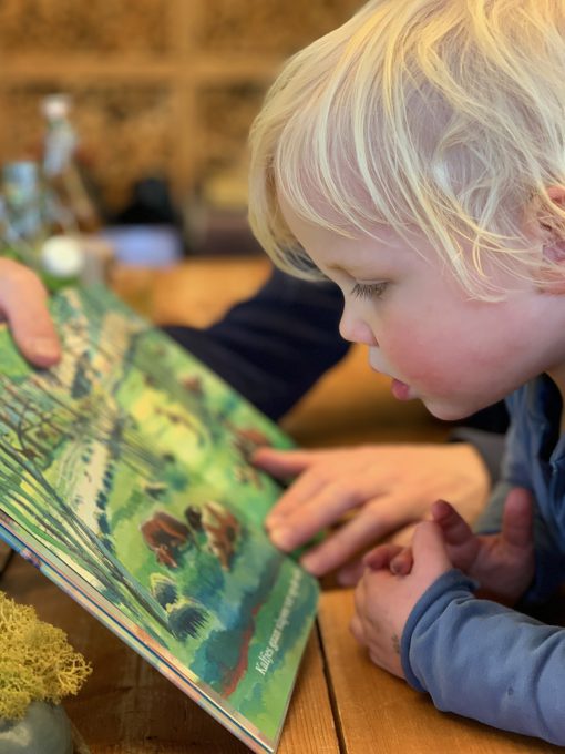 Alles gaat slapen | boekwijzer
