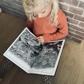 Zwerveling | boekwijzer