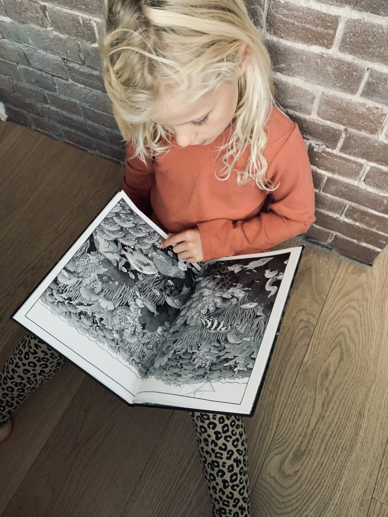Zwerveling | boekwijzer