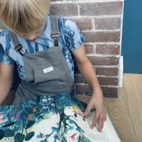 De man met de zeegroene ogen | boekwijzer