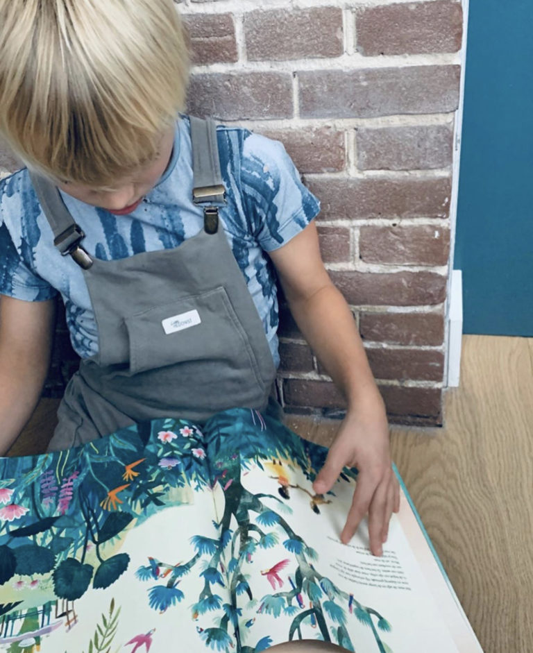 De man met de zeegroene ogen | boekwijzer