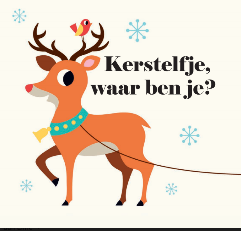 Kerstman, waar ben je? | boekwijzer