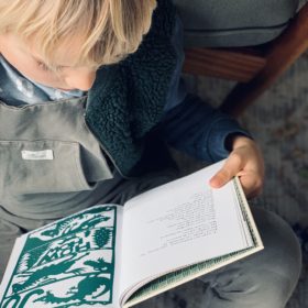 muis en draak | boekwijzer