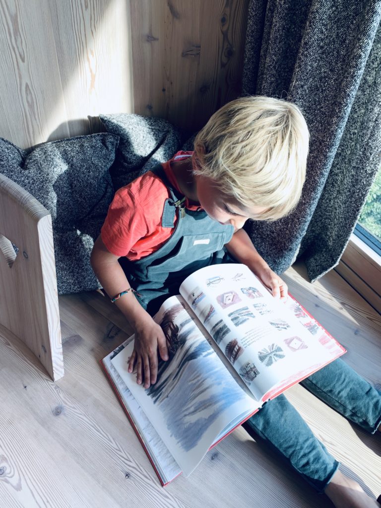De wolven van currumpaw | boekwijzer