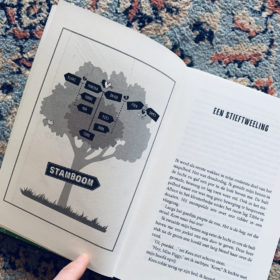 Elke dag broerdag | boekwijzer