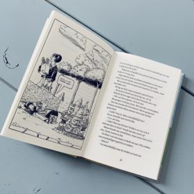 De bende van Lieke | boekwijzer