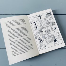 De bende van Lieke | boekwijzer