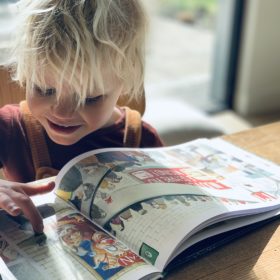 Overdag is hij een krokodil | boekwijzer