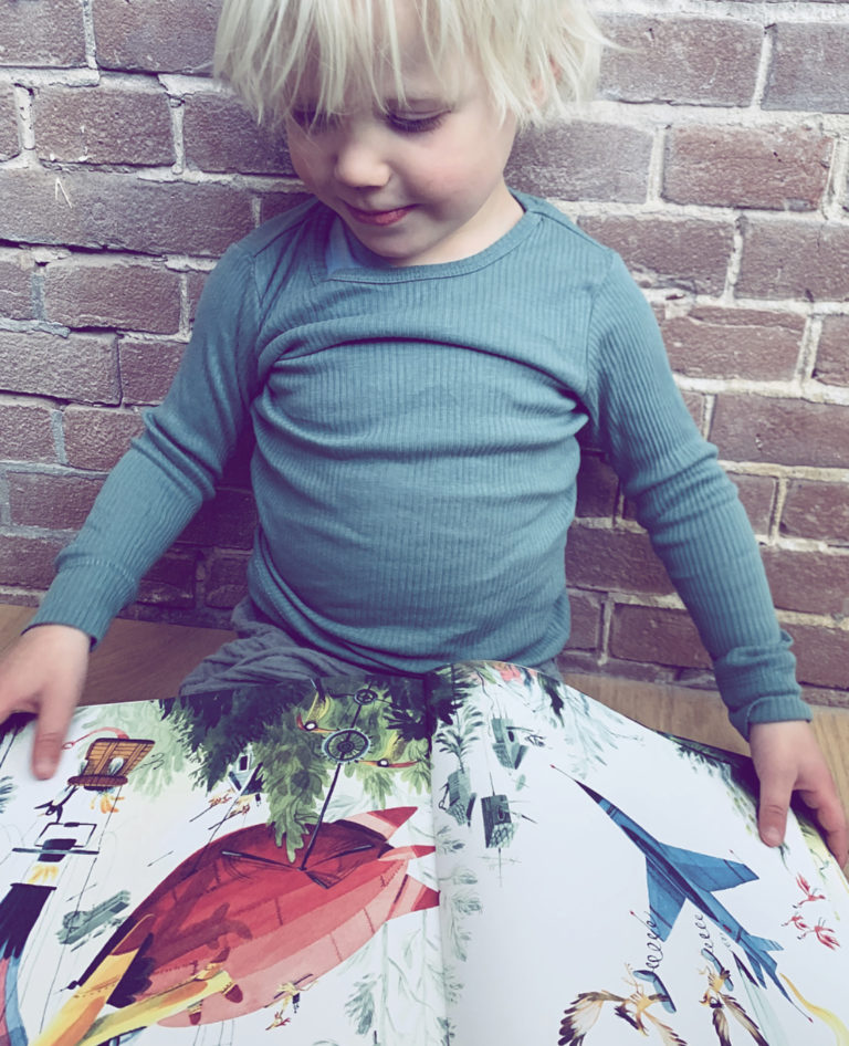 De fantastische vliegwedstrijd | boekwijzer