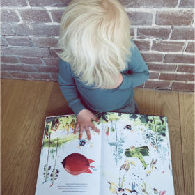 De fantastische vliegwedstrijd | boekwijzer