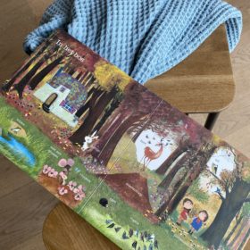 Het nog grotere Fiep kijkboek | boekwijzer
