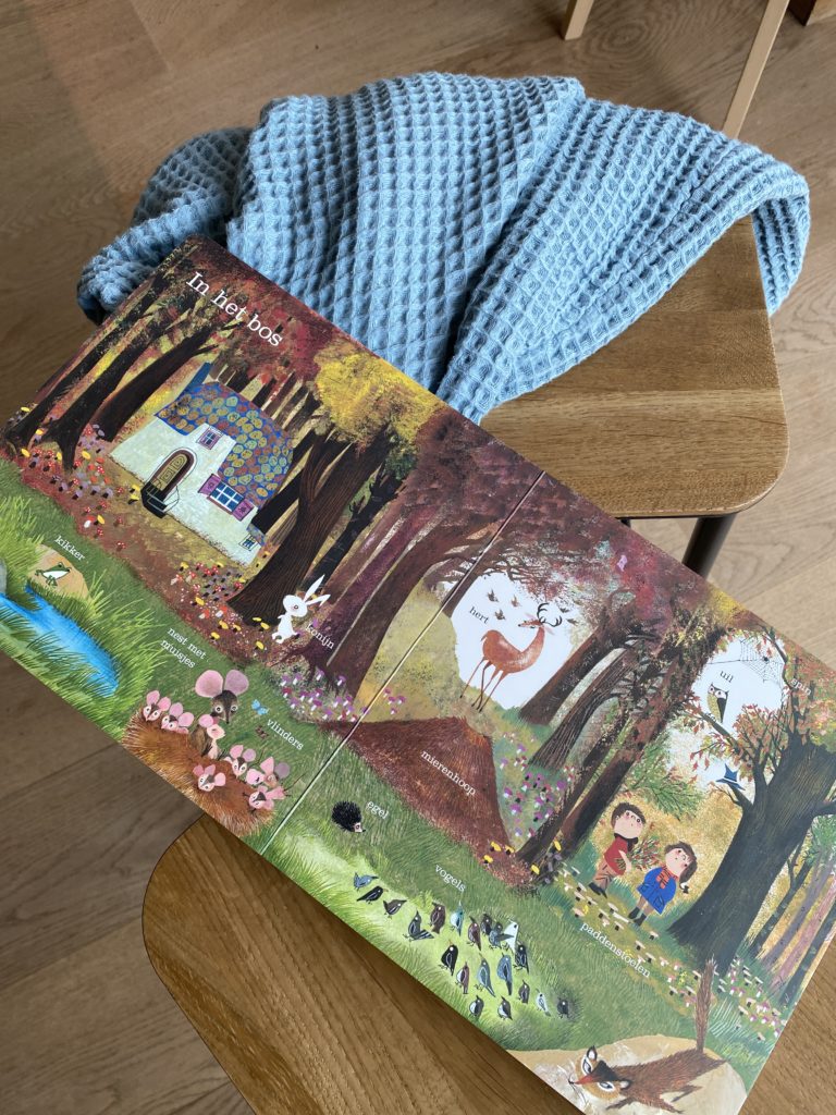 Het nog grotere Fiep kijkboek | boekwijzer