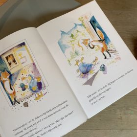 Vos is een boef | boekwijzer