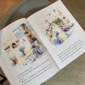 Vos is een boef | boekwijzer