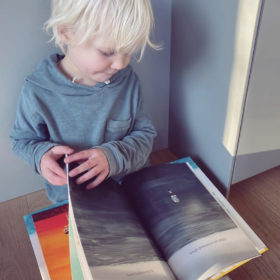 Het eiland van olifant | boekwijzer