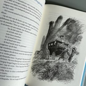 de rover hoepsika | boekwijzer