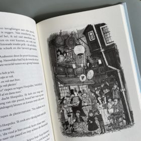 de rover hoepsika | boekwijzer