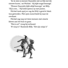 De ninja's van de overkant | boekwijzer