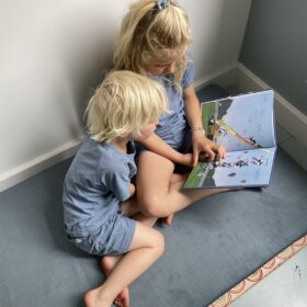 Een toren van koe | boekwijzer