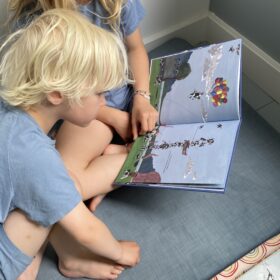 Een toren van koe | boekwijzer