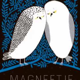 Magneetje | boekwijzer