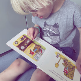 Vos zoekt zijn sokken | boekwijzer