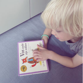Vos zoekt zijn sokken | boekwijzer