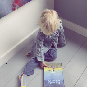 Stork | boekwijzer