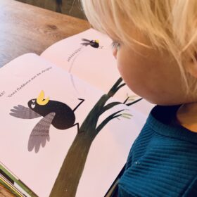 coco kan het | boekwijzer