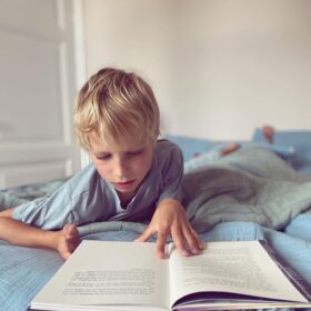 De trollen van Leif | Boekwijzer