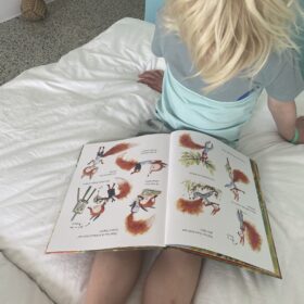 Help! Een verrassing! | Boekwijzer