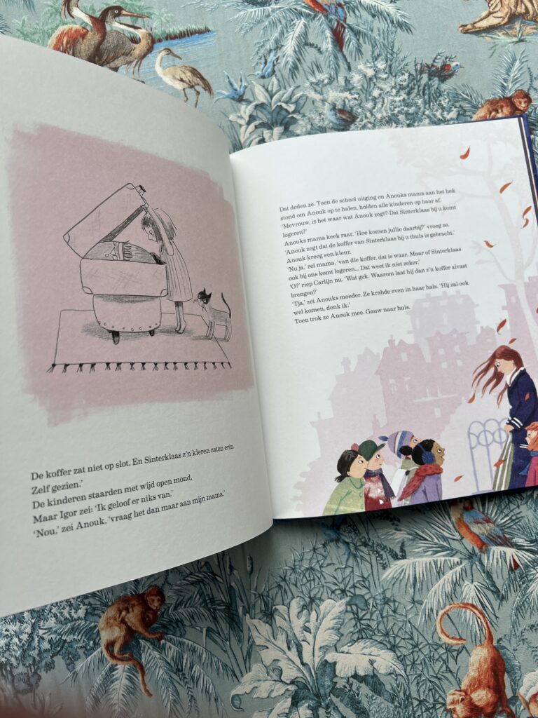 De kleren van Sinterklaas