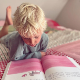 Robin alle verhalen | Boekwijzer