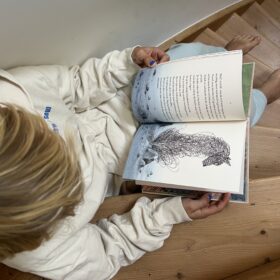 Ze hadden hun schaapjes geteld | Boekwijzer