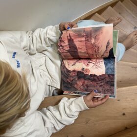 Ze hadden hun schaapjes geteld | Boekwijzer