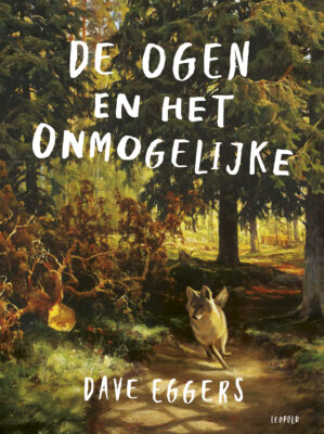 De ogen en het onmogelijke | boekwijzer