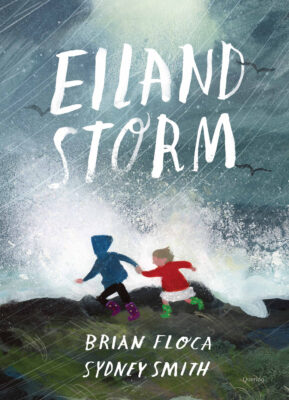 Eilandstorm | boekwijzer