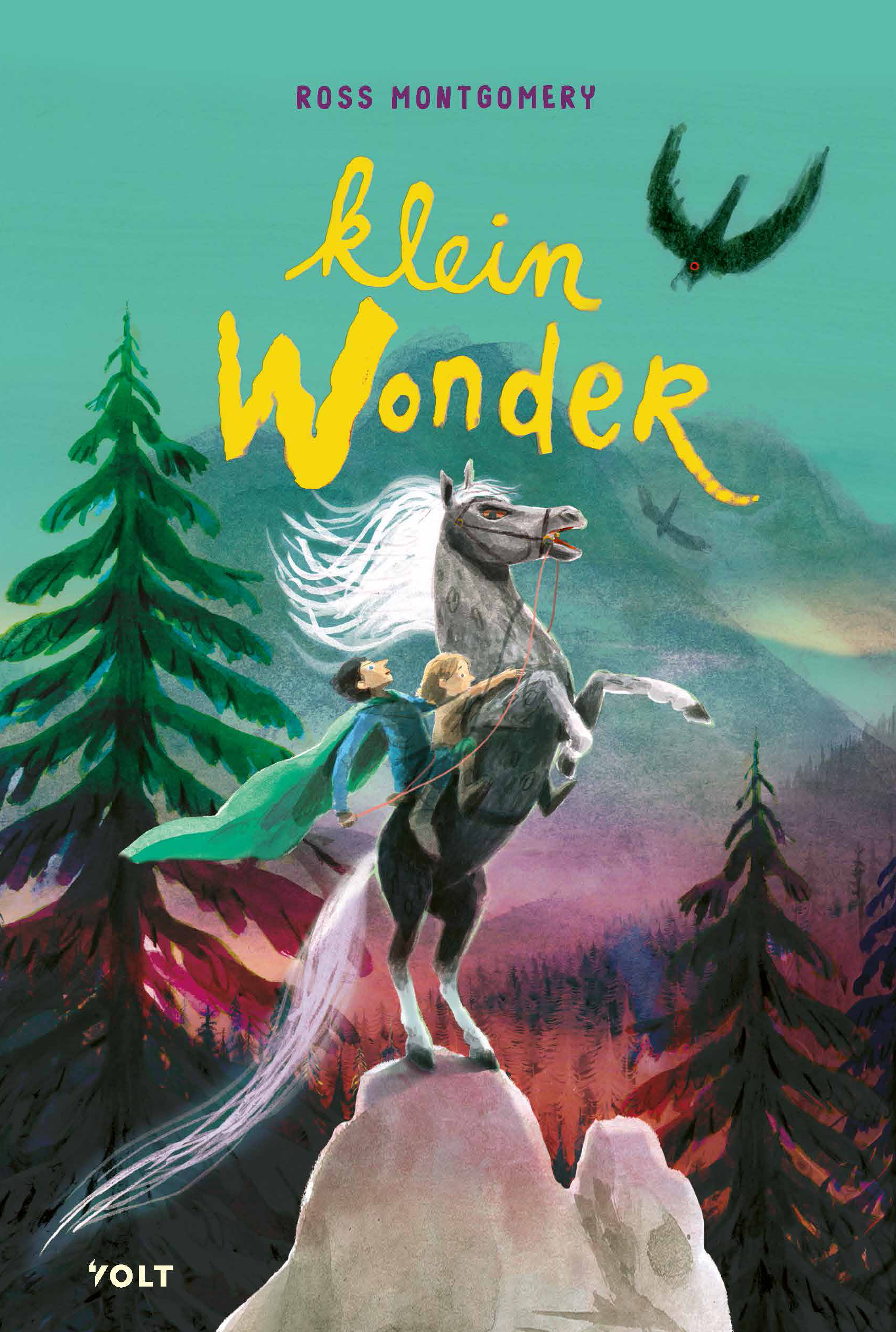 Klein Wonder van Ross Montgomery is een wervelend verhaal over moed, familie en een geheim dat alles kan veranderen. Alleen al de prachtige cover van Mark Janssen maakt nieuwsgierig en past perfect bij de mysterieuze sfeer van het verhaal.
Tick woont samen met zijn kleine broertje Leaf in het bos, waar ze een rustig leven leiden met hun trouwe paard Kiezel. Hun veilige wereld verandert plotseling wanneer er op een dag een gevaarlijke jager bij hun huis verschijnt. Tick beseft meteen dat er iets goed mis is en hij heeft het goed: het koninkrijk wordt aangevallen.
Vanaf dat moment begint een race tegen de klok. Tick moet samen met Leaf en Kiezel op weg naar de burcht om de koning te waarschuwen. Ze hebben precies zeven dagen, maar de jager zit hen voortdurend op de hielen. Onderweg ontdekt Tick dat de lessen en aanwijzingen die hij van zijn gootvader kreeg hem steeds dichter bij een groot geheim brengen.
Achter de spannende achtervolging zitten mooie diepere lagen over verlies, vertrouwen, herinneringen en de kracht van familie, die het goed veel warmte geven. De ontknoping is verrassend en zit goed in elkaar. Ross Montgomery weet de puzzelstukjes verrassend samen te brengen, waardoor het einde na alle spanning echt als een beloning voelt.