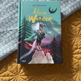 Klein wonder | boekwijzer
