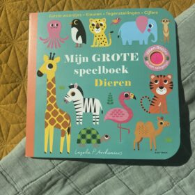 Mijn grote speelboek, dieren | boekwijzer
