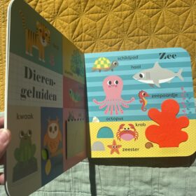 Mijn grote speelboek, dieren | boekwijzer