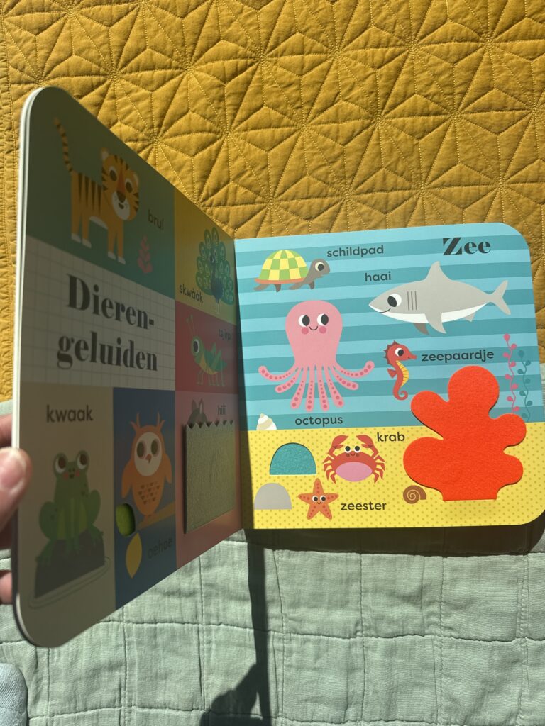 Mijn grote speelboek, dieren | boekwijzer