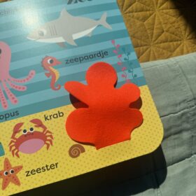 Mijn grote speelboek, dieren | boekwijzer