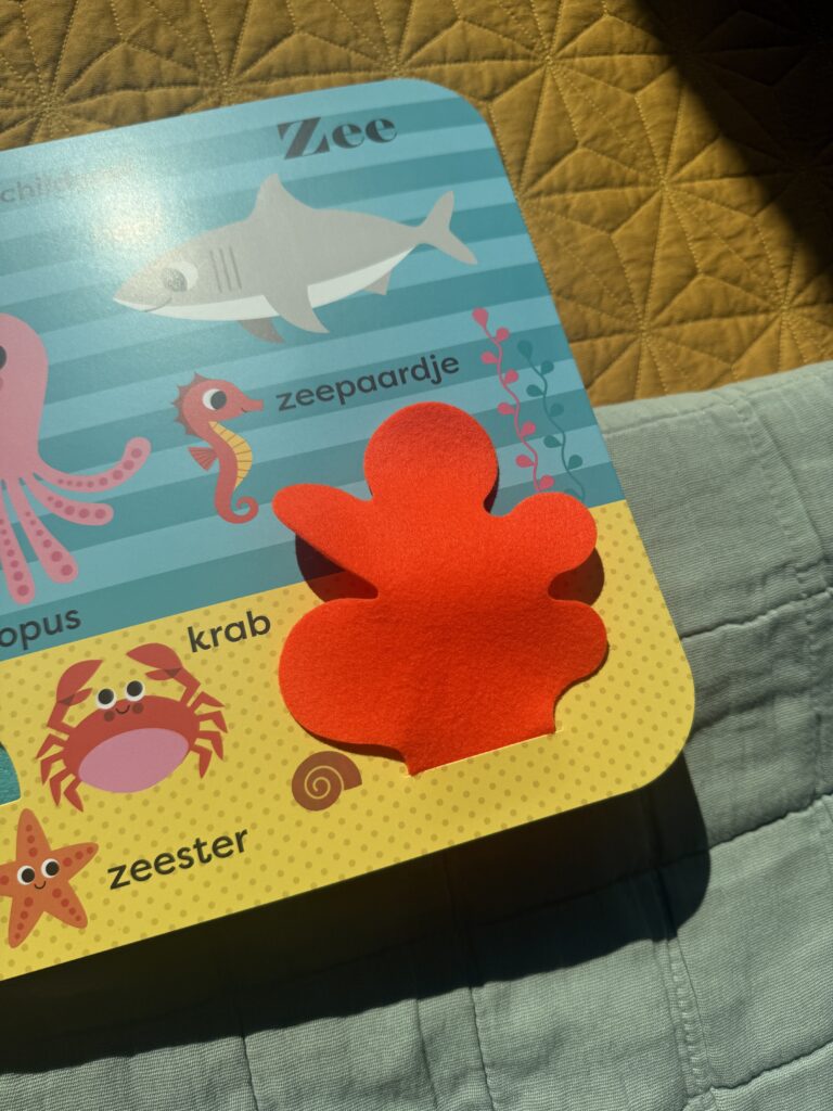 Mijn grote speelboek, dieren | boekwijzer