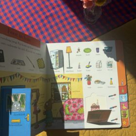 Pip en Posy's grote woordenboek | boekwijzer