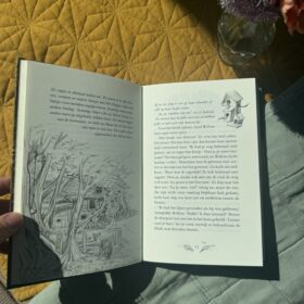 Willow en het magische woud | boekwijzer